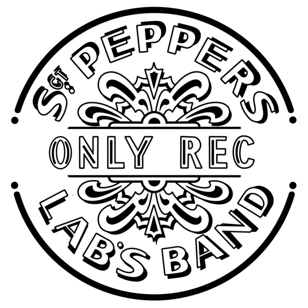 Medaglietta - immagine 3